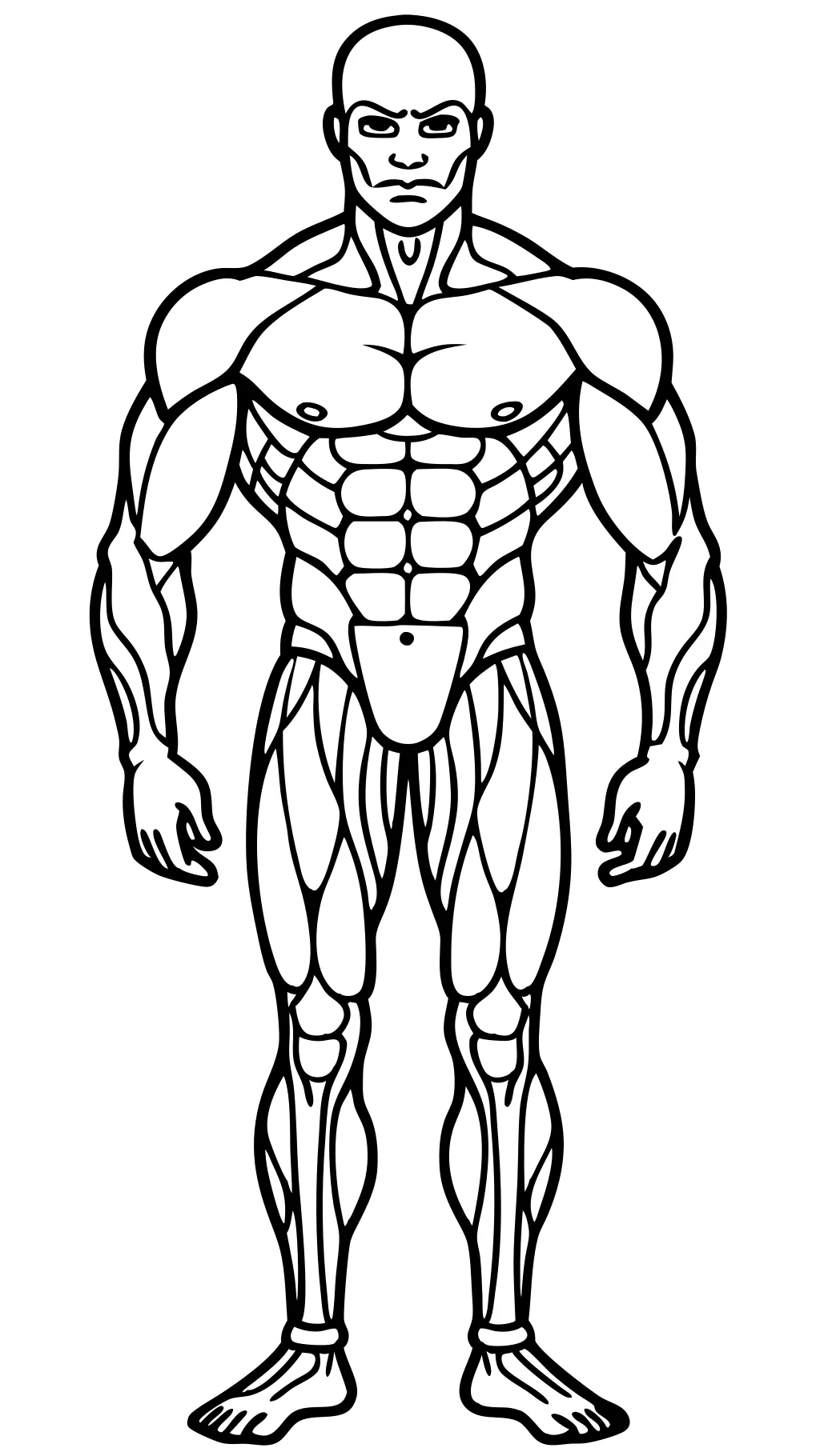 coloriages des muscles